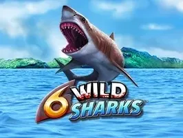 6 Wild Sharks icon